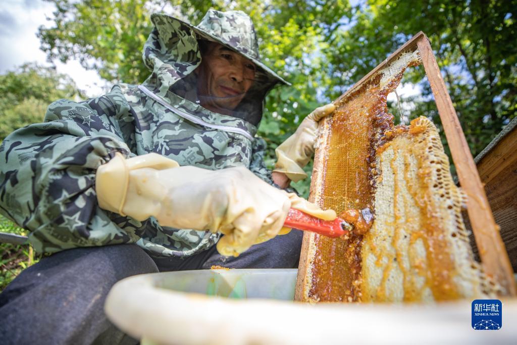 威利斯人官方网站